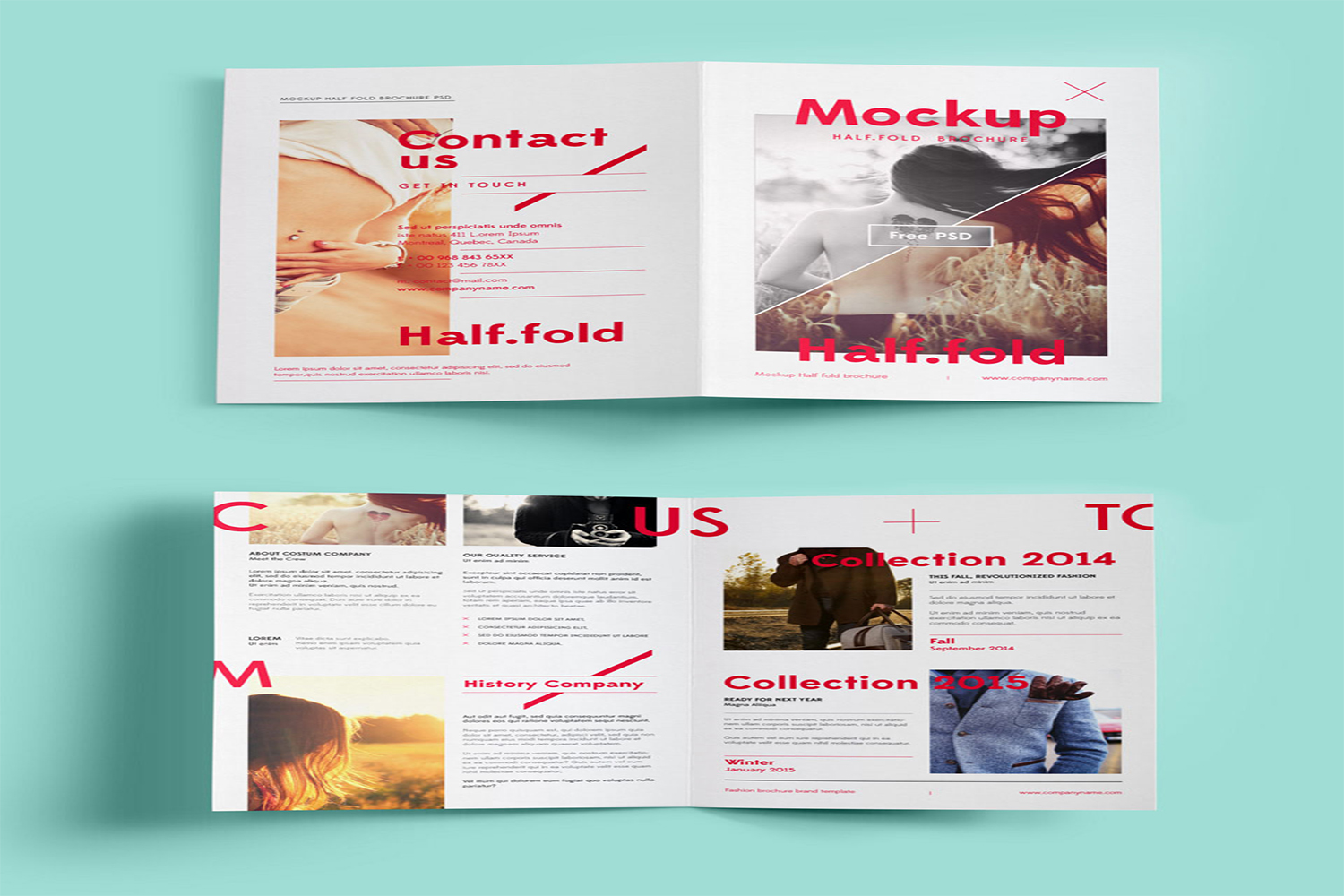 Bi Fold Brochure Mockup Free Download