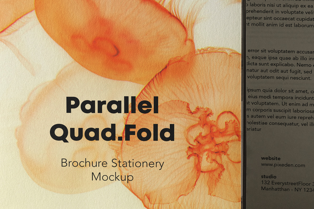 Multi-Fold Brochure Mockup Free Download
