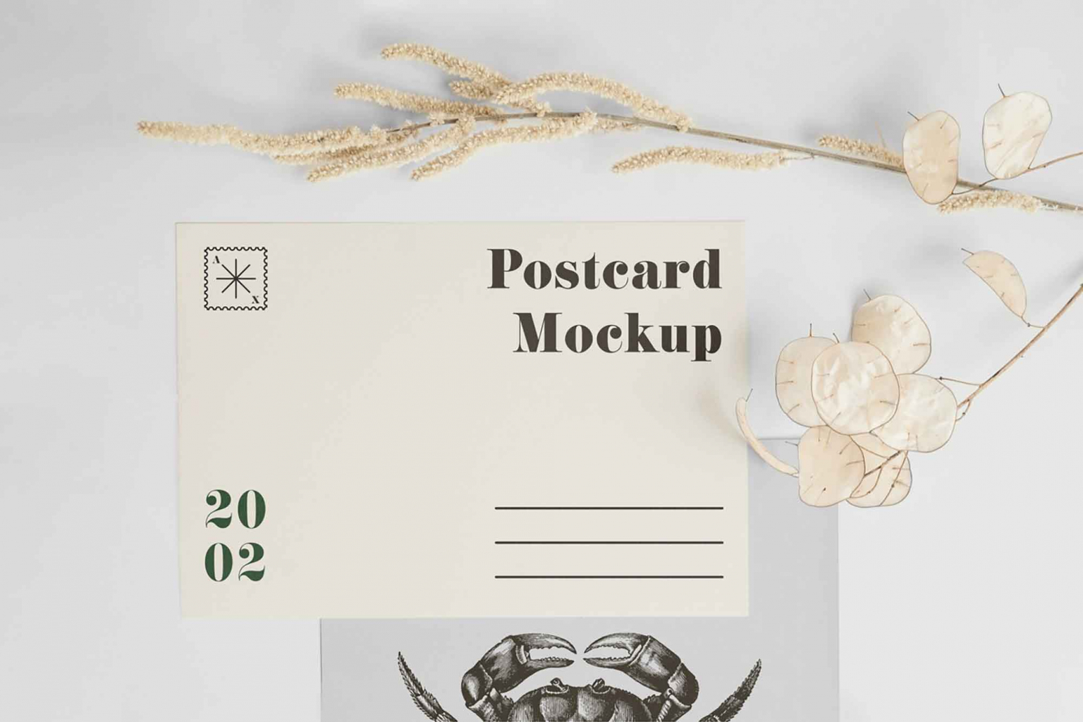 A5 Postcard with Envelope Mockup Free Download