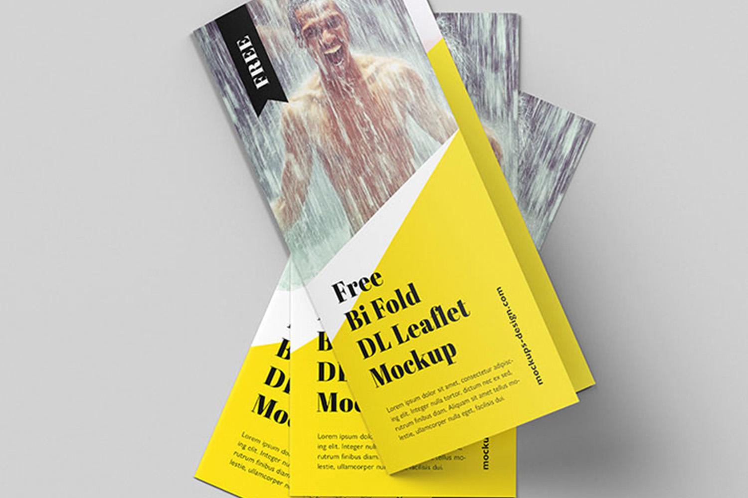 Bi-Fold Brochure Mockup Free Download