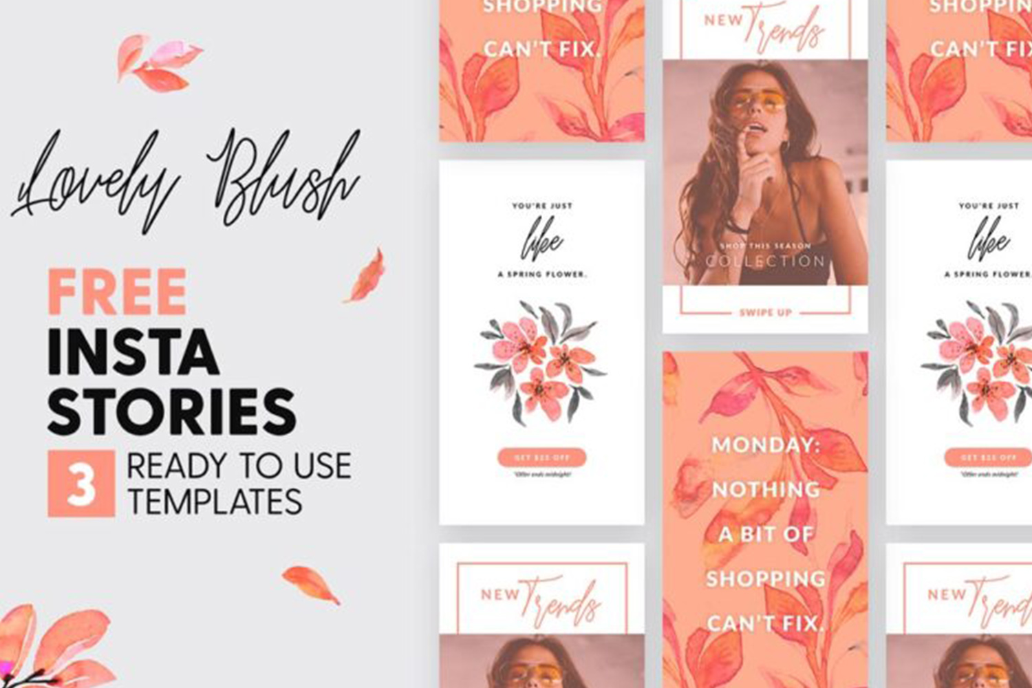 Lovely Blush Instagram Stories Template Free Download