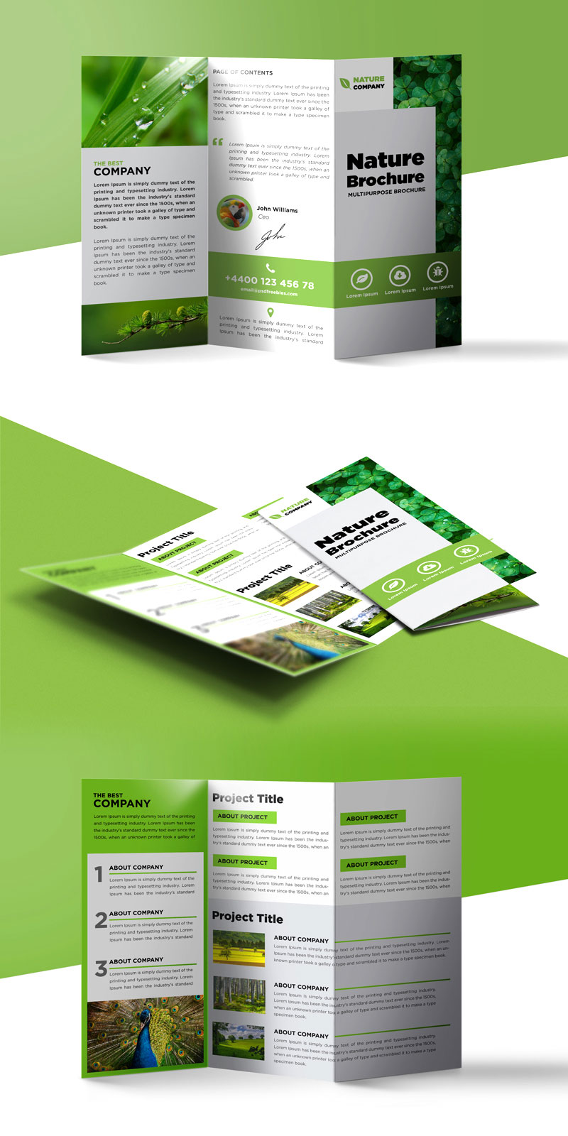 Nature Tri Fold Brochure PSD Free Download