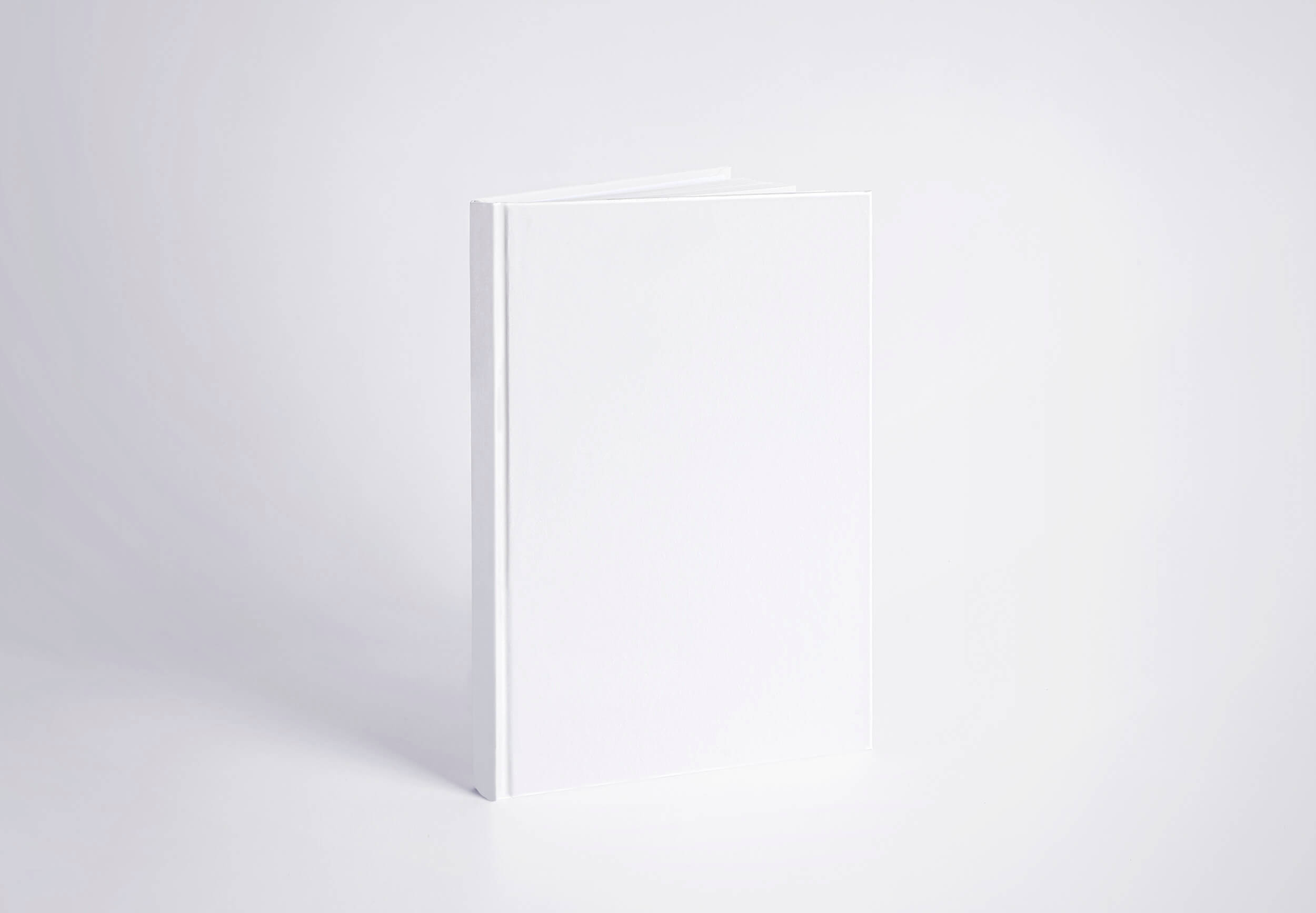 Standing Book Mockup Free Download